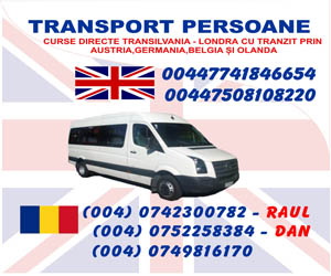 Transport persoane ANGLIA