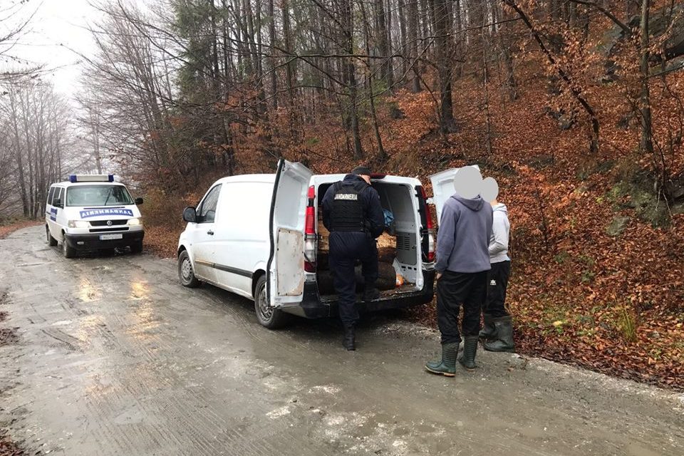 Material lemnos confiscat și amenzi aplicate de jandarmii din Petroșani
