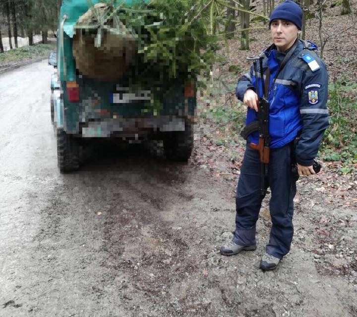 Brazi confiscați de jandarmii montani din Costești