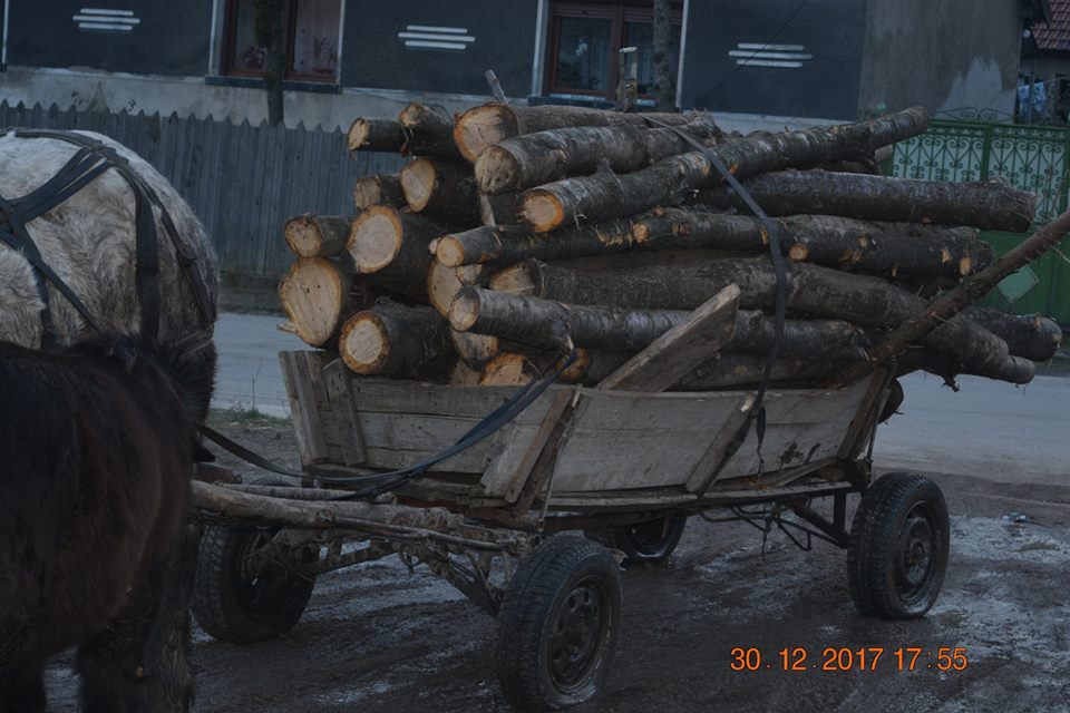 Amendă de 5.000 de lei aplicată de jandarmi unui căruțaș din Crividia